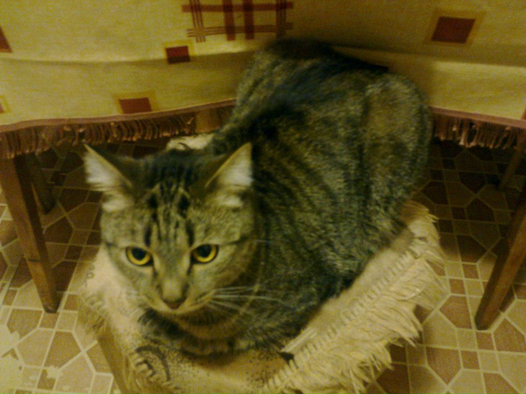 Лелька Яковлева | Москва