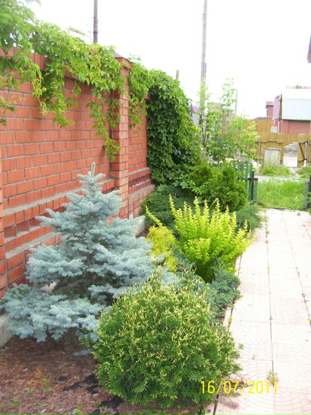 №129, Александр Семёнов, 40 лет, Сочи №129, Александр Семёнов, 40 лет, Сочи