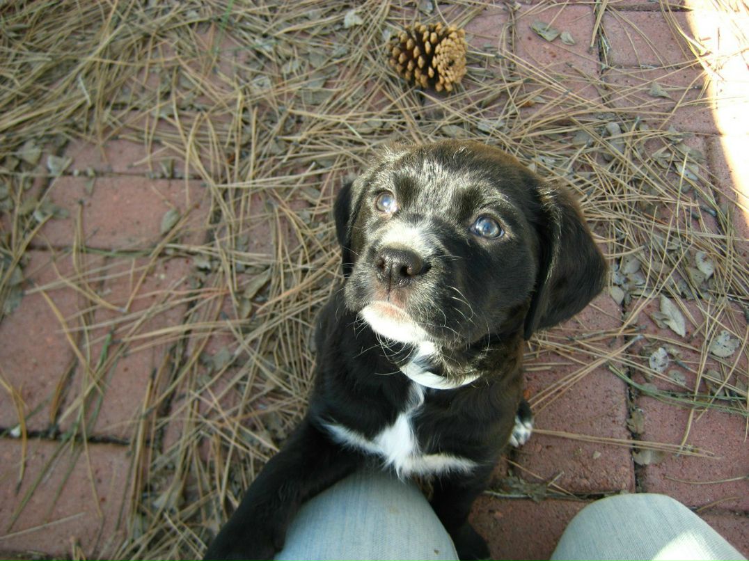 Аня Крылова | Santa Fe