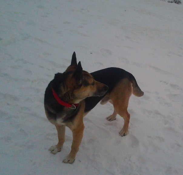 Злата Гертман | Москва