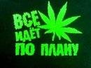 Воля Половинка фотография #1