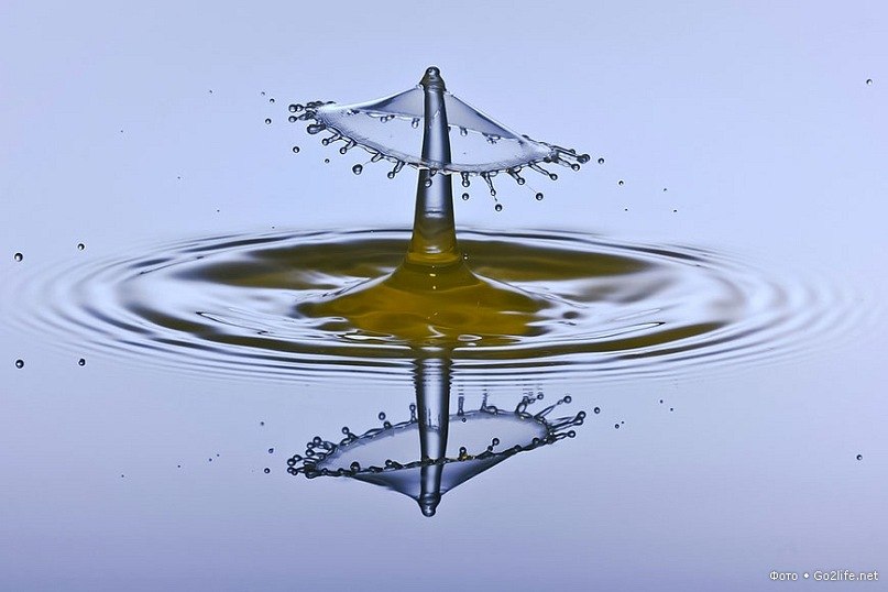 Ольга Галустян | Одесса