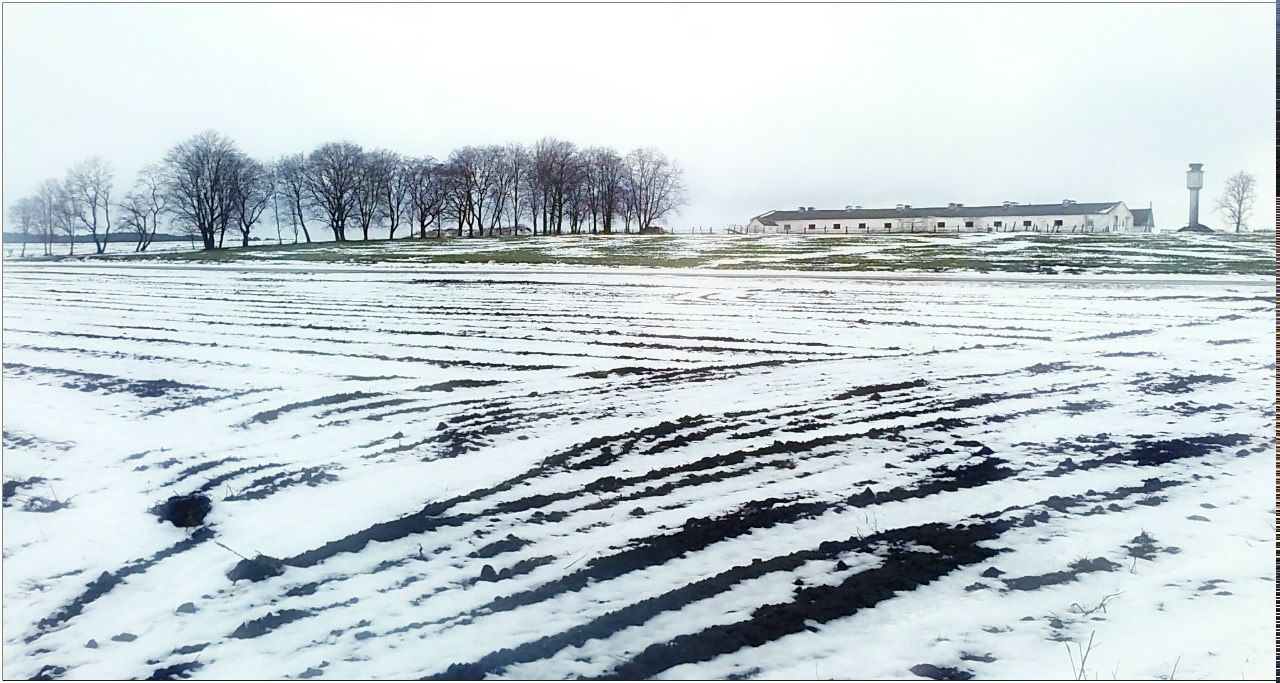 Максим Колбанов | Минск