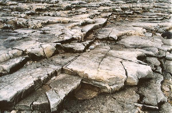 Синильга Линно | Дудино