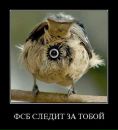 №35 Ирина Иванова : профиль, фото, статус - ВКонтакте