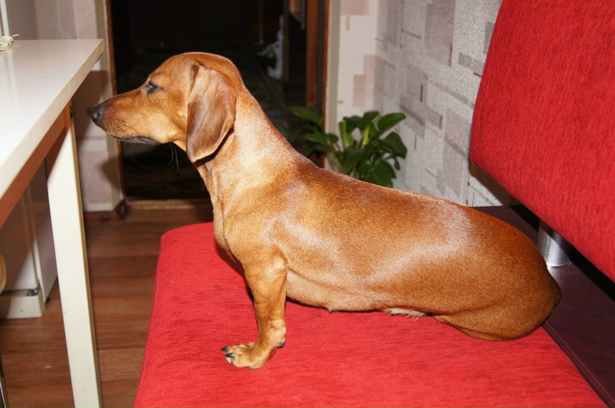 Татьяна Плотникова | Киев