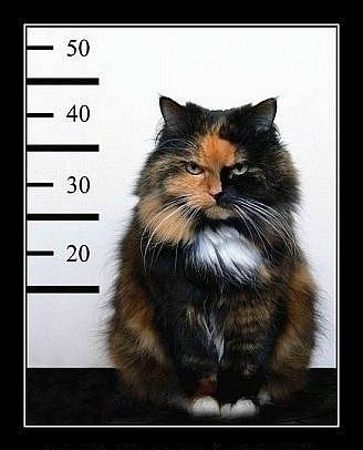 Алексей Бусленко | Ростов-на-Дону