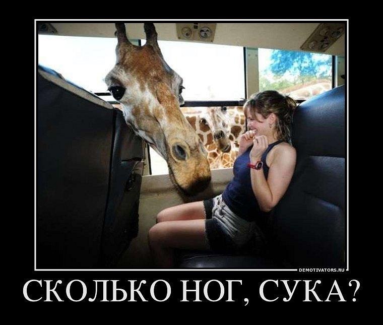 Тарас Юрыйович | Винница