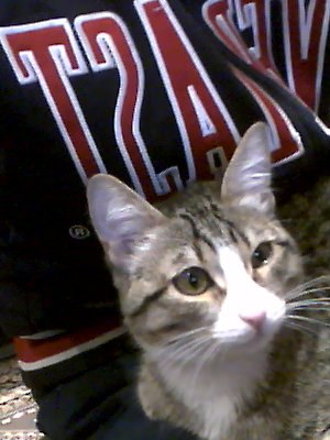 Максим Мискам | Санкт-Петербург