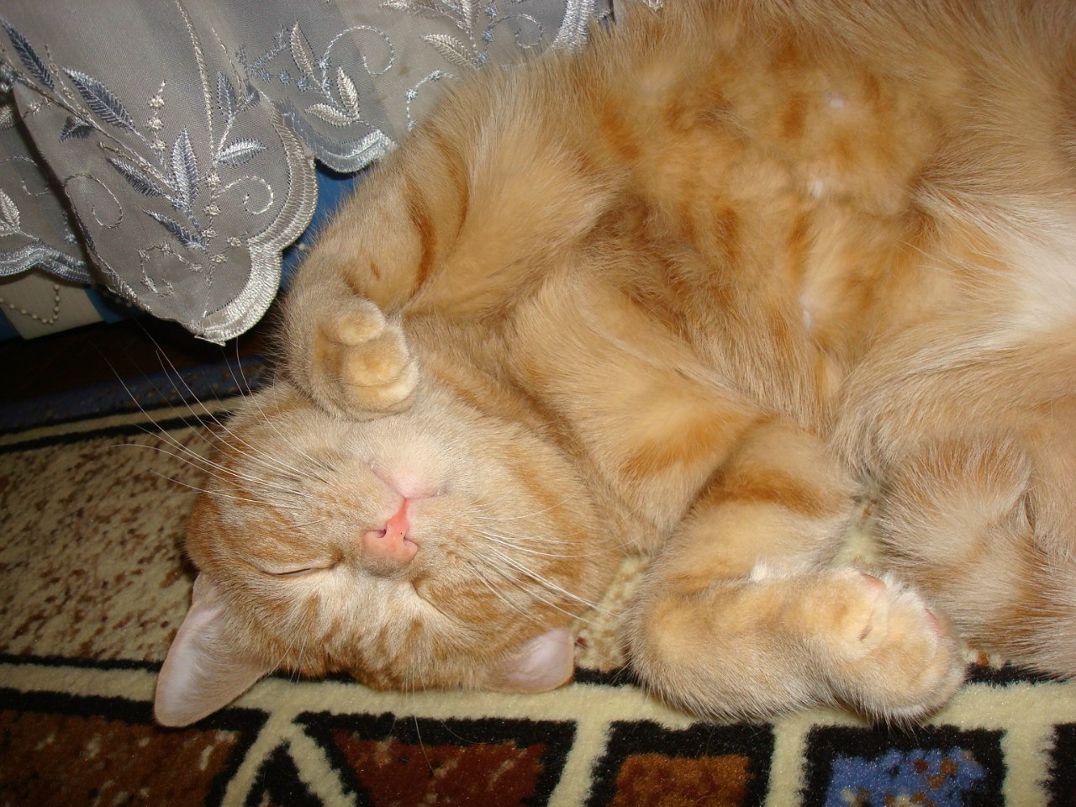 Оля Лебедева | Красноярск