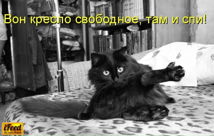 №11, Анна Тихонова №11, Анна Тихонова