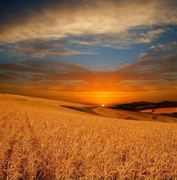 №1, Анна Юсупова, 33 года, Калининград №1, Анна Юсупова, 33 года, Калининград