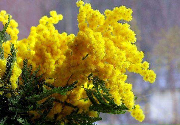 №99, Ирина Князева, 42 года, Волжский №99, Ирина Князева, 42 года, Волжский