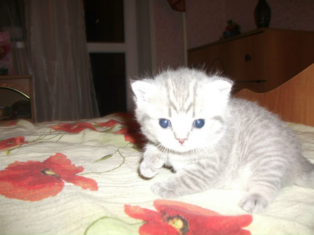 Александр Дундин | Старый Оскол