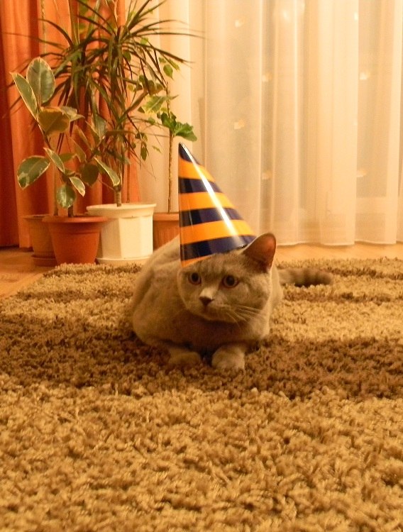 Валерка Николаев [] | Бердянск