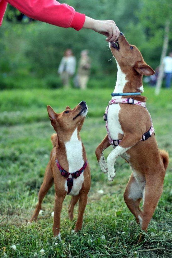 Екатерина Фралова Kateрок | Москва