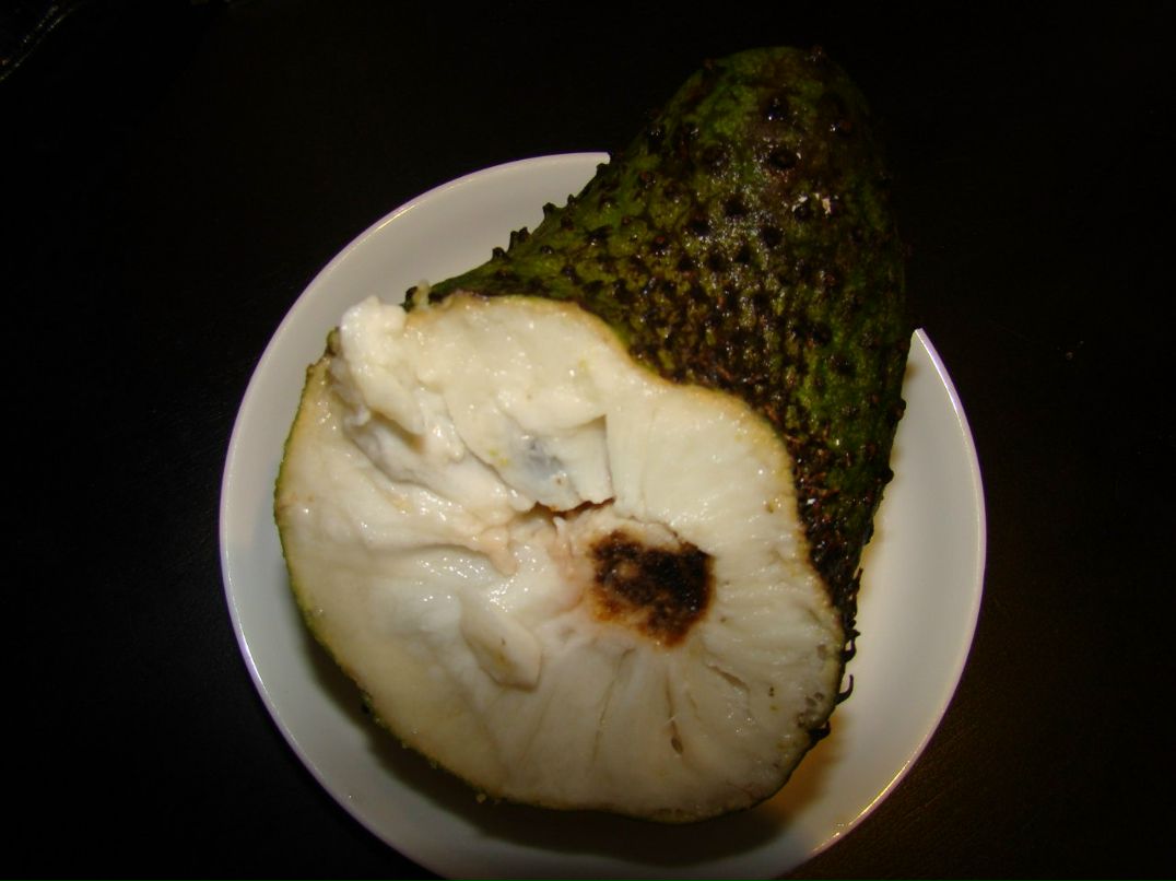 Олег Ройко | Харьков