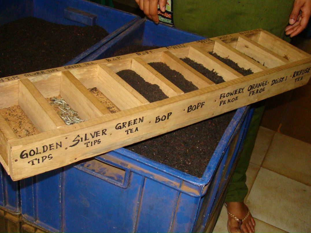 Олег Ройко | Харьков