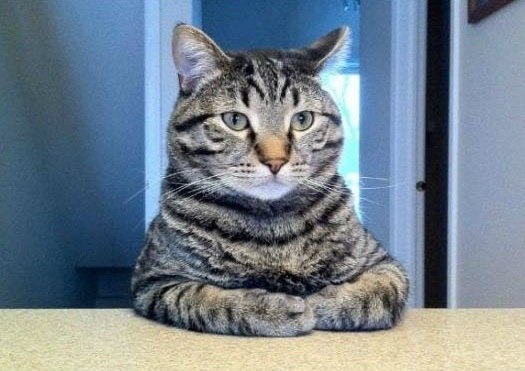 Вадим Рубцов | Новосибирск