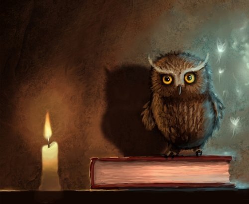 Свидунея Залесская | Санкт-Петербург