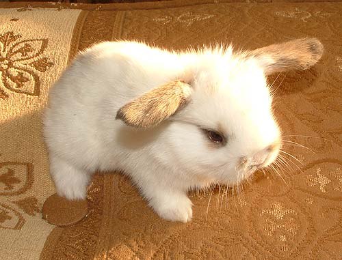 Надежда Клейботенко (ツ) | Севастополь