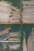 Ника Белова фотография #20 (источник - https://vk.com/id9329684)