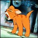 Антон Мишин | Нижний Новгород