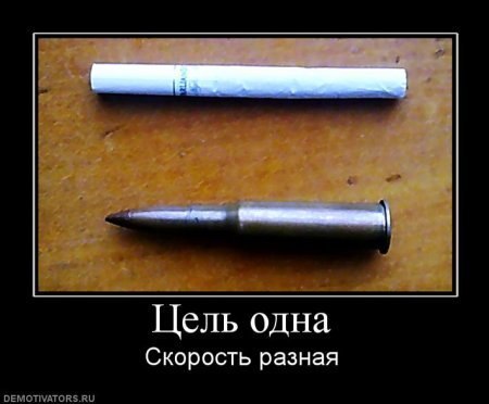 №5, Вадим Сладков, 37 лет, Обнинск №5, Вадим Сладков, 37 лет, Обнинск