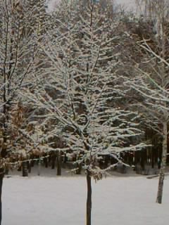 Валентина Волкова | Гомель