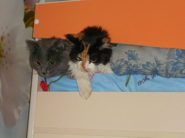 №3, Никита Кафисов №3, Никита Кафисов