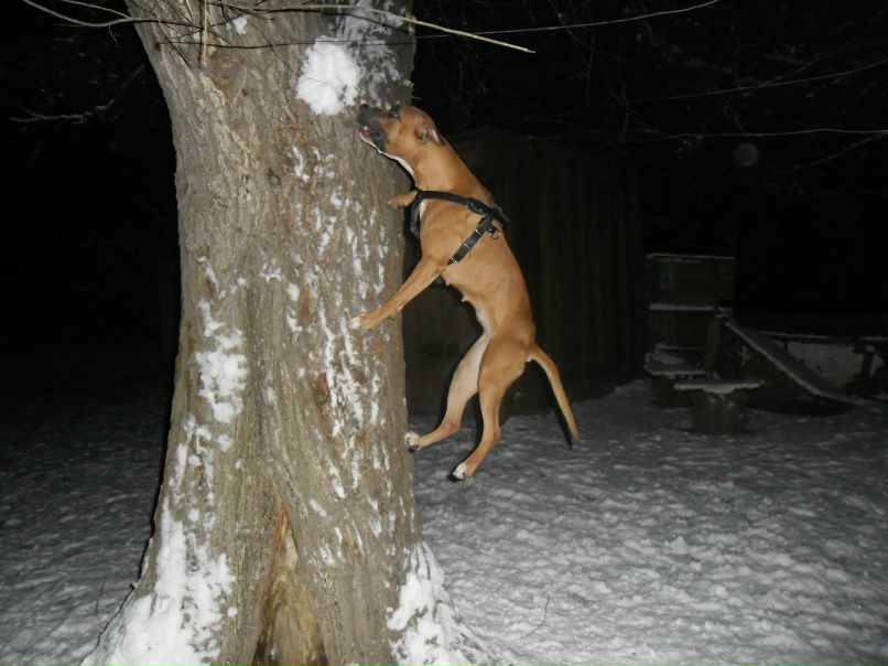 Александр Александров | Запорожье