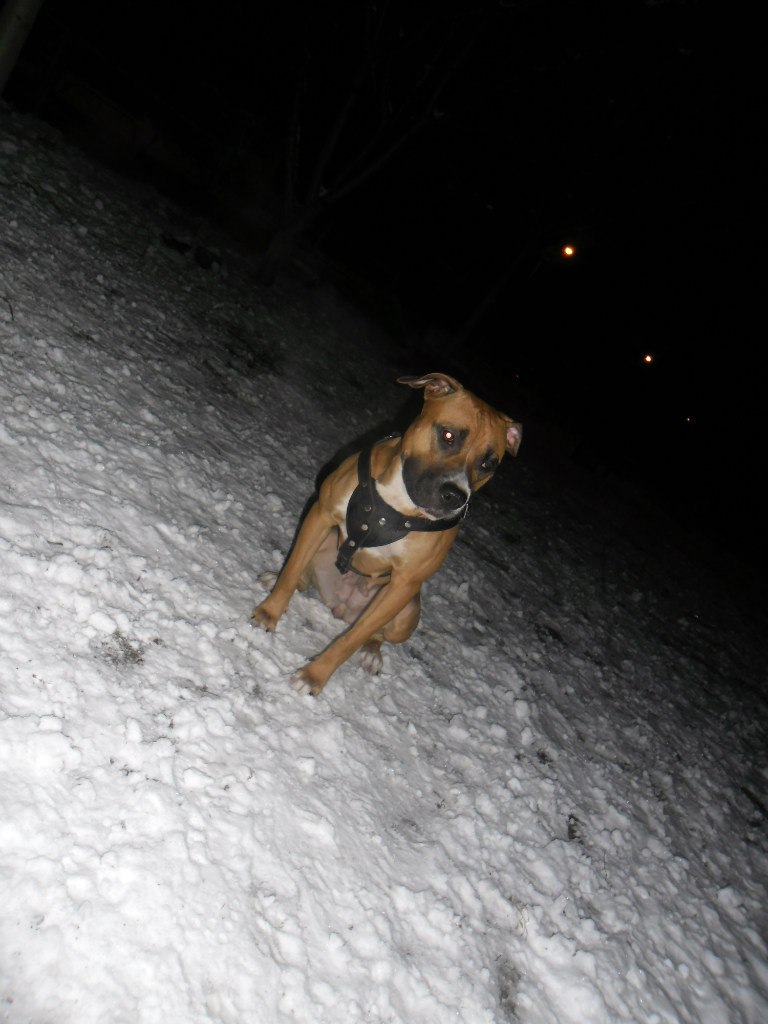 Александр Александров | Запорожье