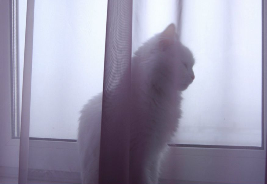 №67, Виктория Лепихова, Мурманск №67, Виктория Лепихова, Мурманск