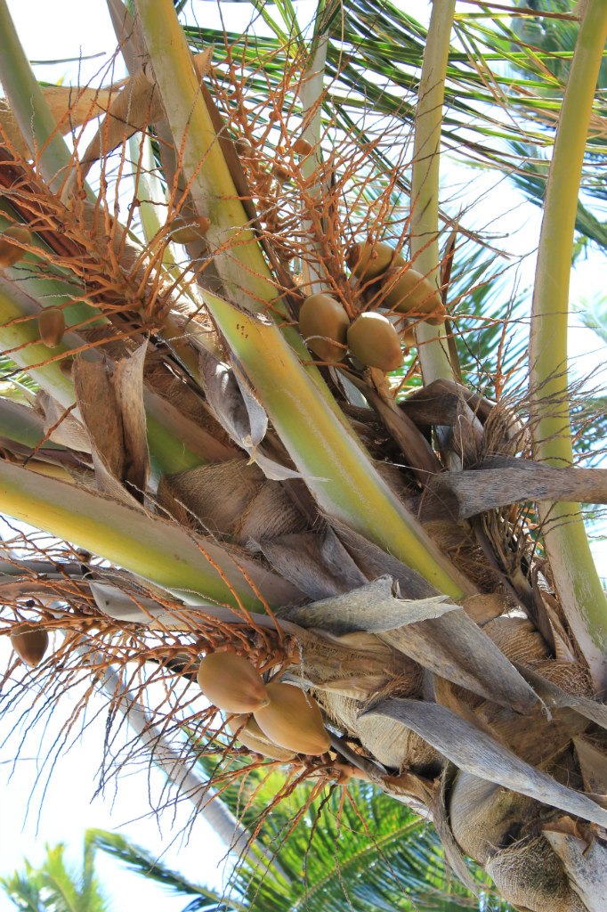 Сергей Инюшкин | Москва