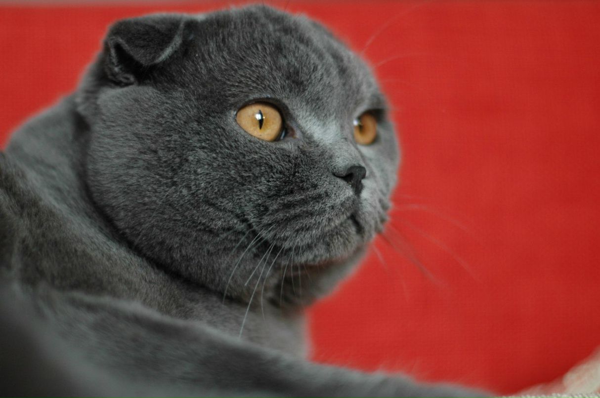 Анюта Гайдай | Москва