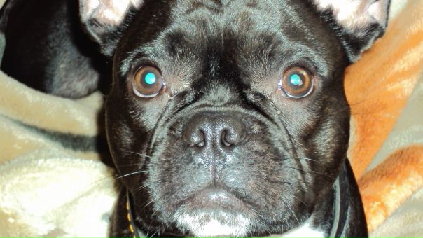 №170, Саша Винчо, 01.08, Гродно №170, Саша Винчо, 01.08, Гродно