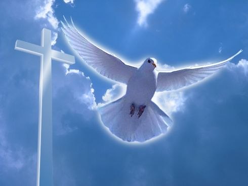 №138, Юлия Ромашина №138, Юлия Ромашина