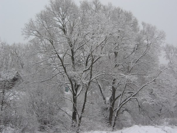 №75, Ирина Хоченкова №75, Ирина Хоченкова