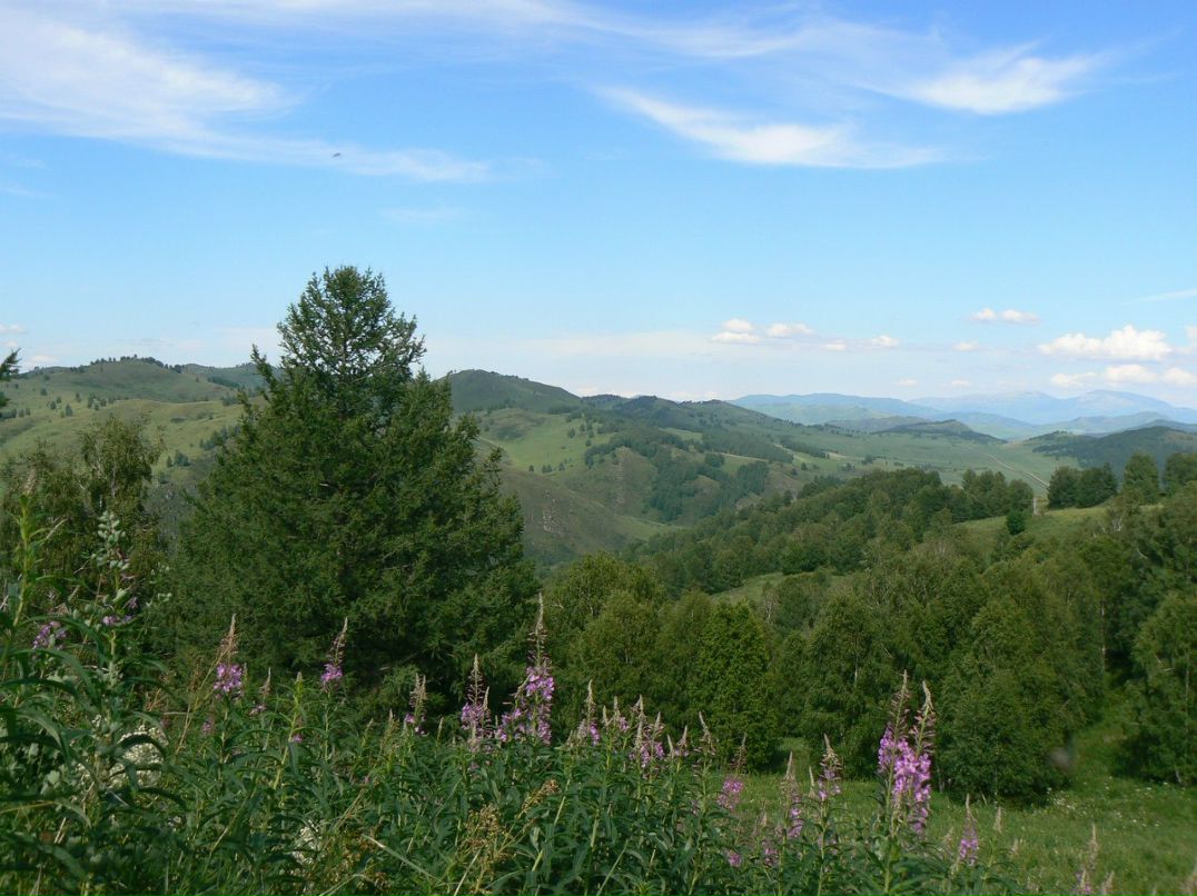 Вячеслав Рощин | 