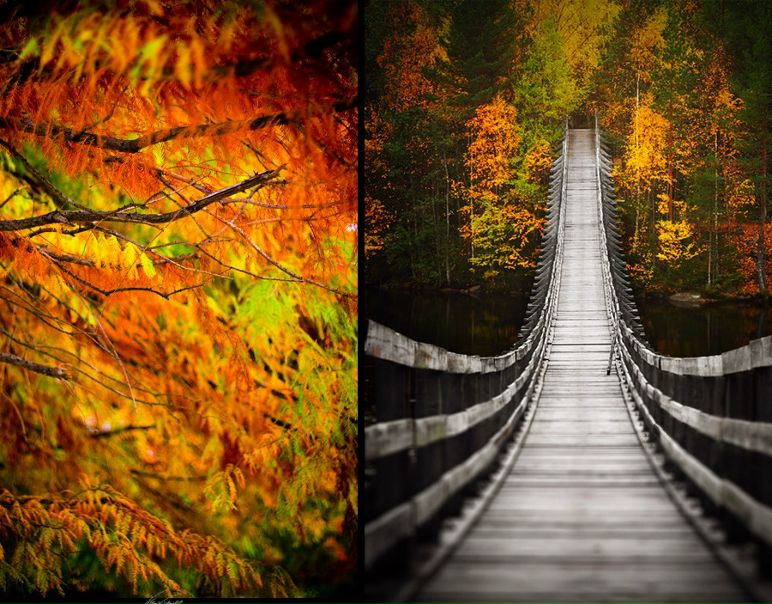 №88, Мария Савилович, Нижневартовск №88, Мария Савилович, Нижневартовск