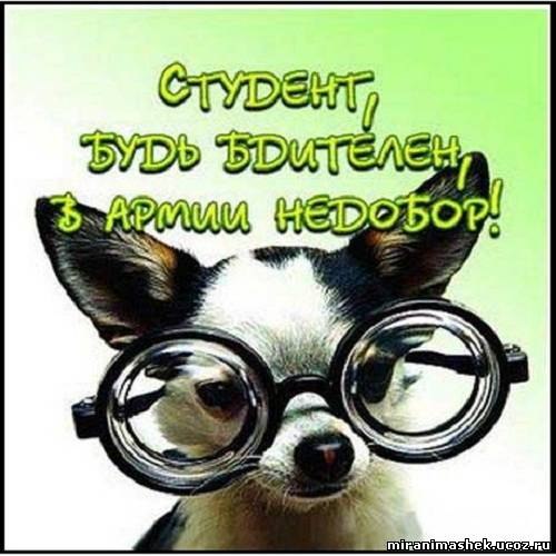 №133, Дарья Волкова, Ялта №133, Дарья Волкова, Ялта