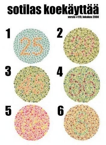 №81, Дарья Подарцева, Хабаровск №81, Дарья Подарцева, Хабаровск