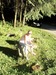 Ярослав Тецький фотография #23 (источник - https://vk.com/id83910625)