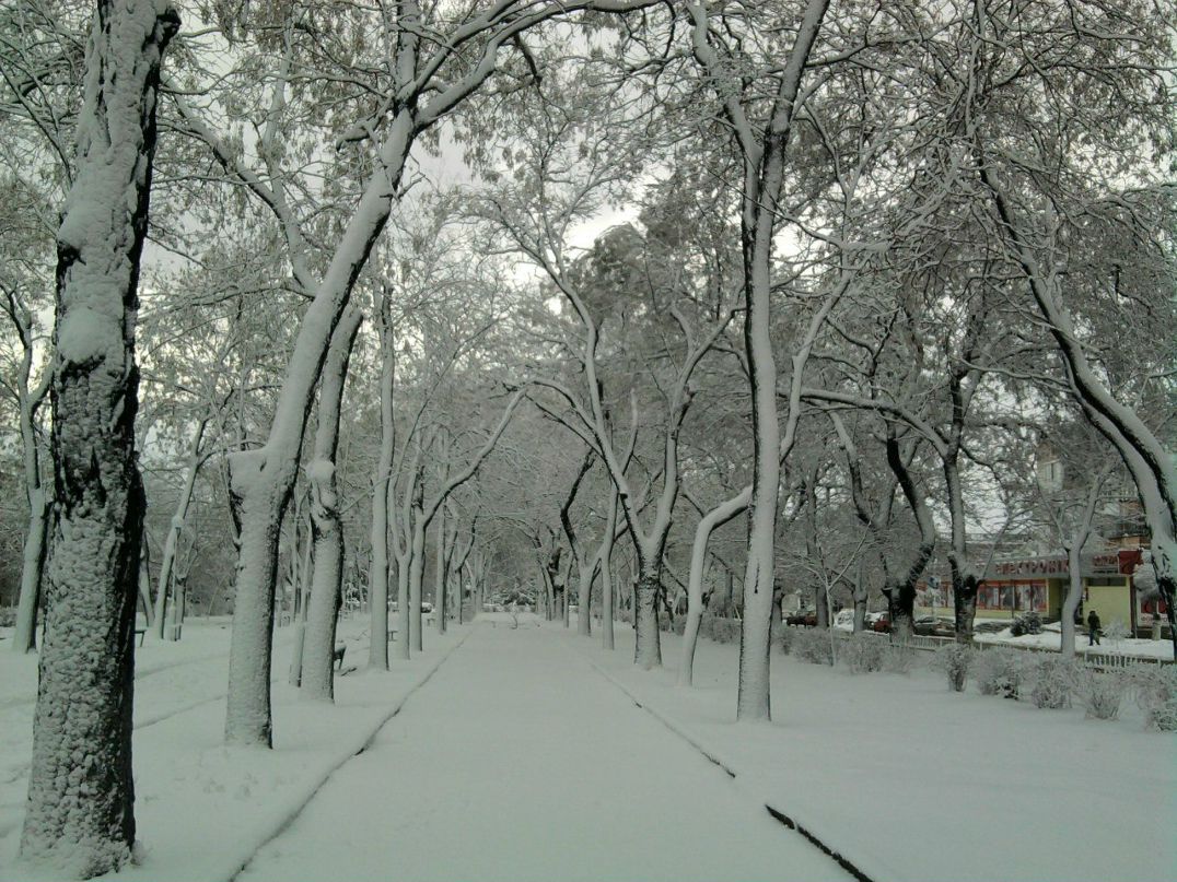 Маргаритка Маргаритовна | 