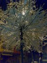 Фотография Arzenli Volkan