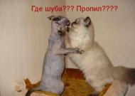 №18, Максим Забелин, Саяногорск №18, Максим Забелин, Саяногорск