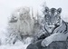 Настюшечка Ковальчук фотография #1