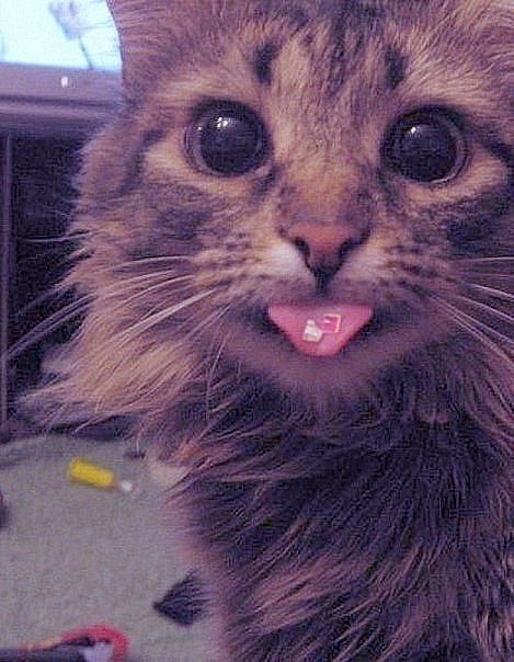 Максим Тюрин | Воскресенск