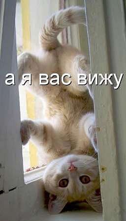 Роман Исхаков | Красногорск