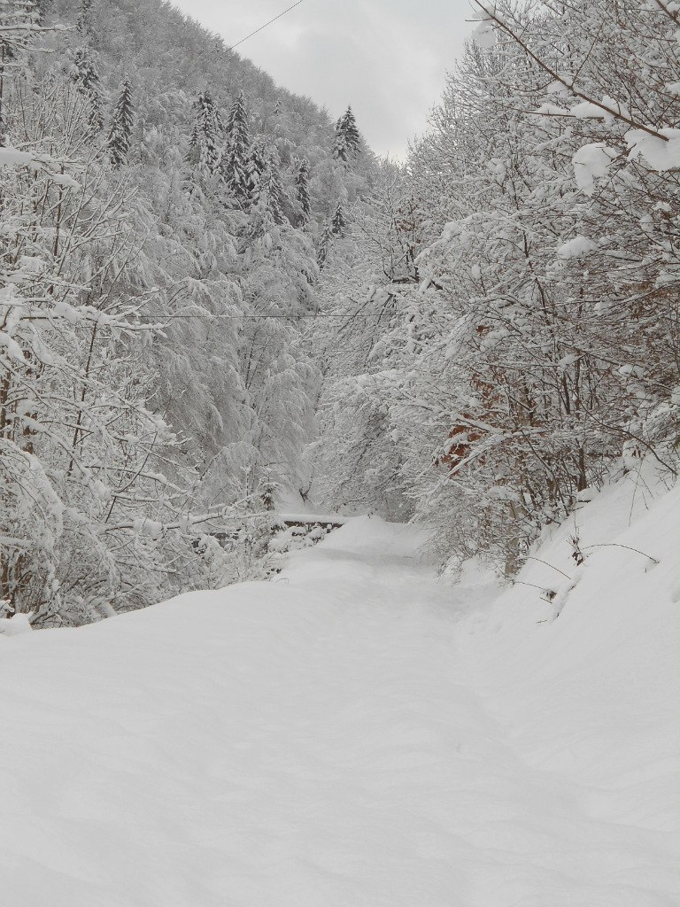 Анастасия Оробей | Киев